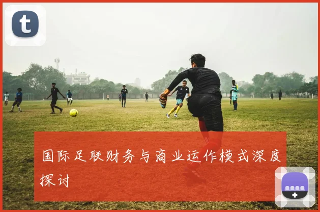 国际足联财务与商业运作模式深度探讨